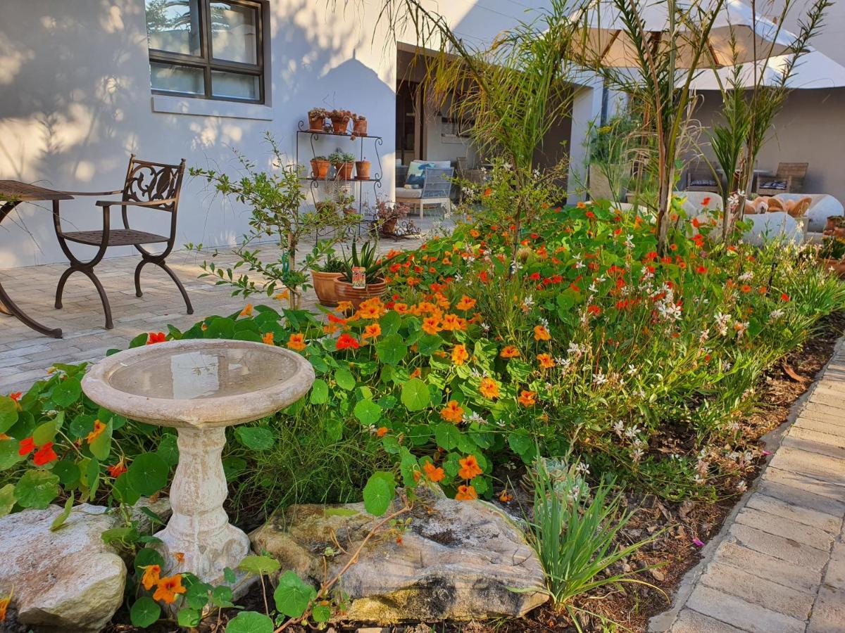 Albatross Guesthouse ลางเงอบาน ภายนอก รูปภาพ