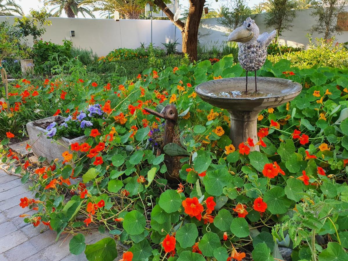 Albatross Guesthouse ลางเงอบาน ภายนอก รูปภาพ